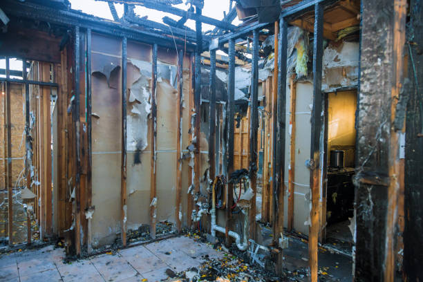 Professional Fire Damage Removal technician working in Forest Hill, TX