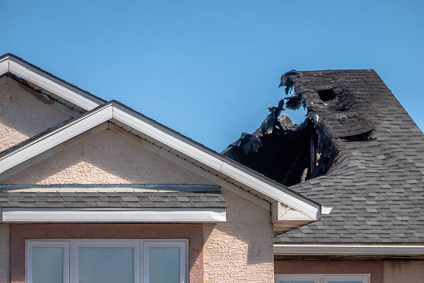 Top rated local Fire Damage Removal specialists in Forest Hill, TX